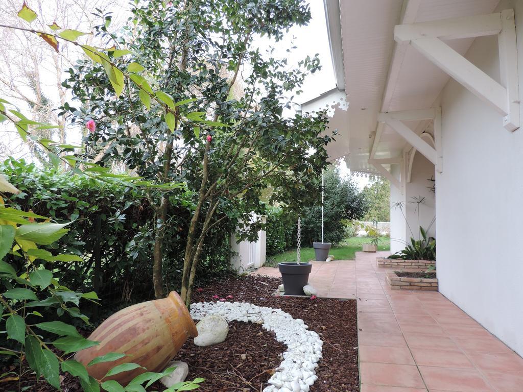 Chambres D'Hotes Villa La Louisiane Ares Exterior photo